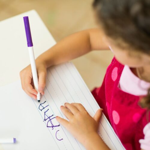 Cognitive Development